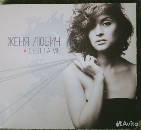 Женя Любич, ддт, Сплин, Алиса