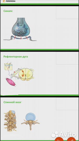 Репетитор по химии и биологии
