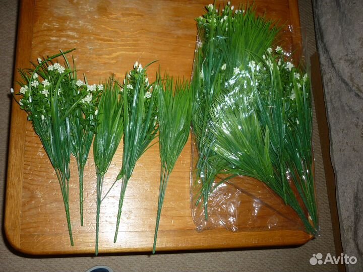 Растения иск