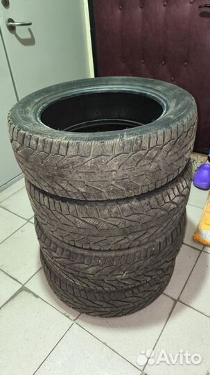 Tigar Winter 195/55 R16 87H