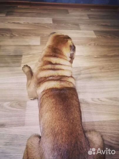 Кабель для вязки