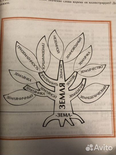 Русский язык 5 класс разумовский