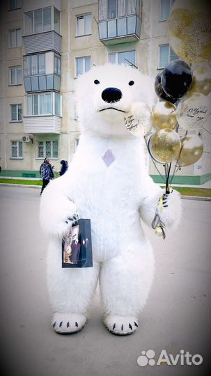 Белый мишка поздравление ростовой медведь аниматор