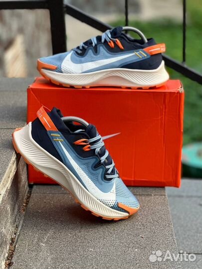 Кроссовки Nike Pegasus синие легкие