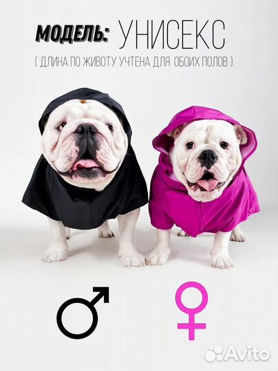 Дождевик для собаки Черный/Сиреневый