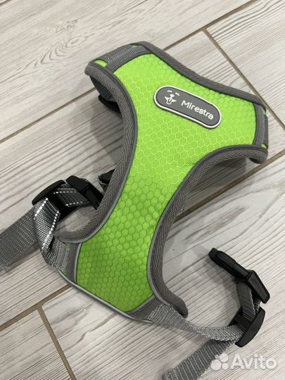 Анатомическая шлейка