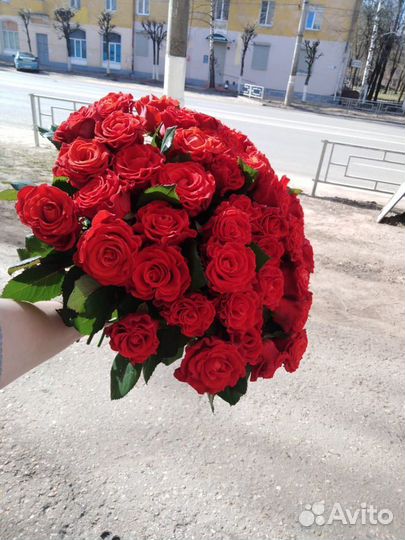 Букет из 51 розы