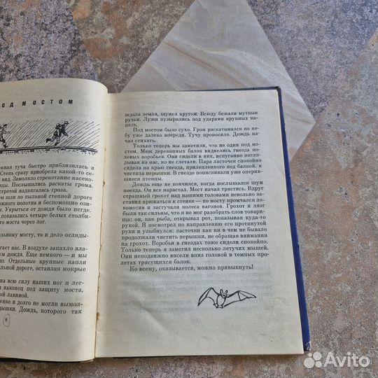 Охотники за барсами. Зверев. 1960 г