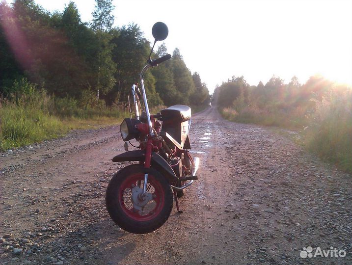 Рига стелла