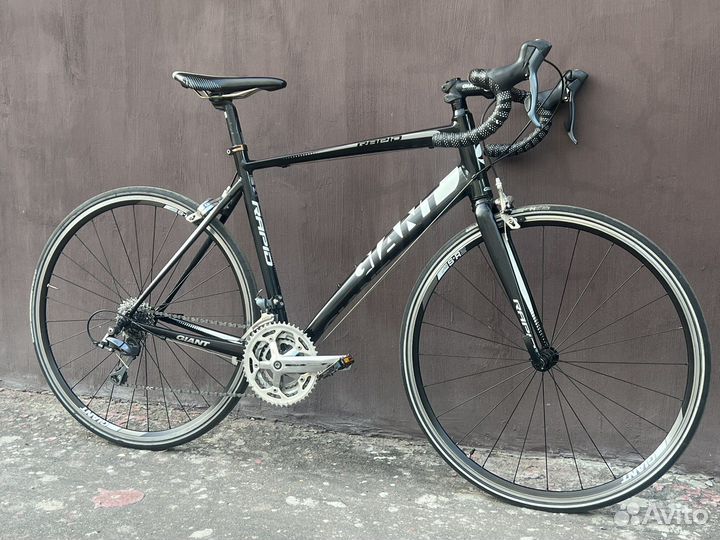 Шоссейный Giant Rapid 4