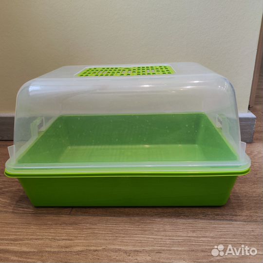 Террариум для улиток, мелких грызунов