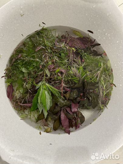 Продам прополкаку аквариумных растенй