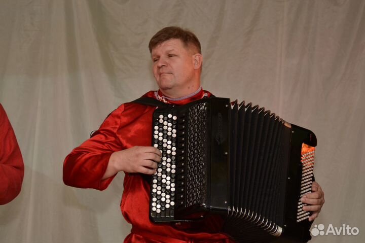 Баянист, гармонист на праздник