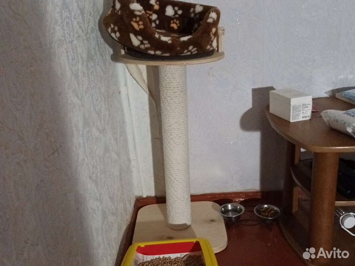 Когтеточка для кошек