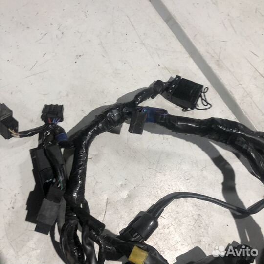 Коса проводки для triumph speedmaster 2008