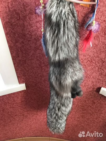 Мех серебристого песца