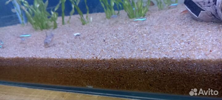 Грунт для аквариума