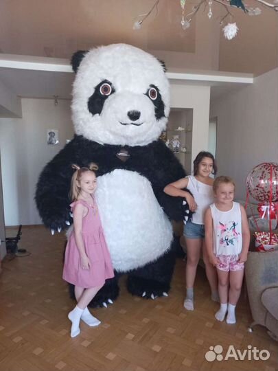 Большой белый Медведь, Зайка, Панда