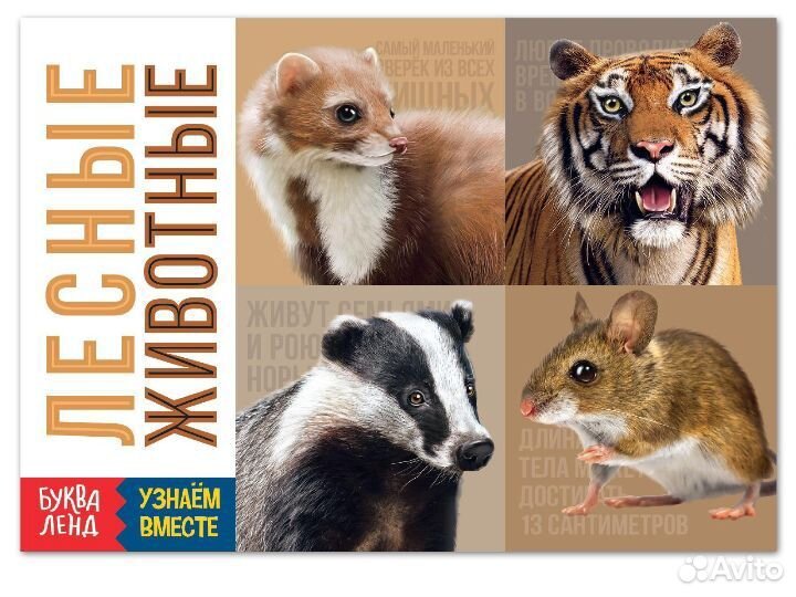 Книги детские обучающие про животных и насекомых