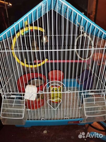 Клетка для попугая бу и аквариум