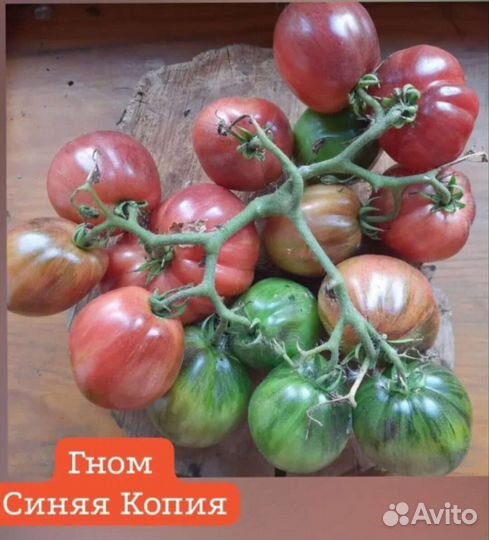 Томаты серии Гном. Семена