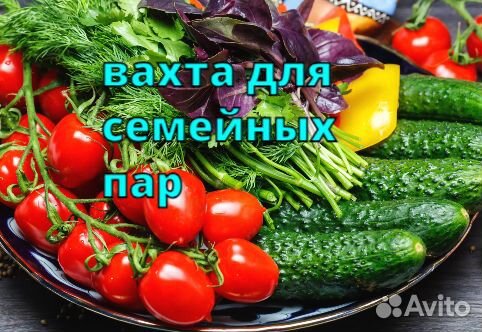 Работа/вахта/упаковщик/жилье/питание/Тюмень