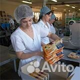 Работа вахтой+питание Укладчик печенья в коробки