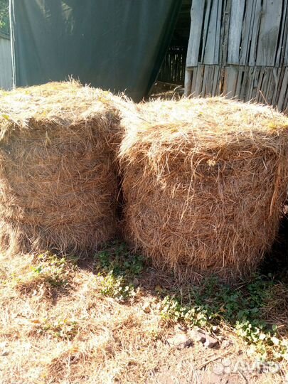 Продам сено в тюках