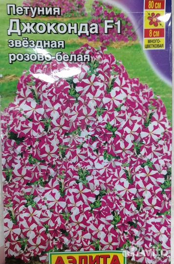 Рассада петунии