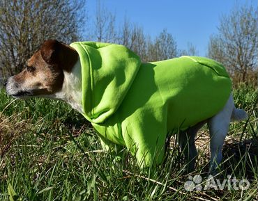 Трикотажная одежда для собак