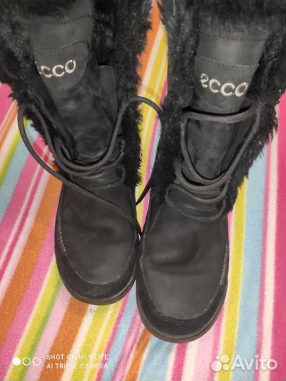 Сапоги зимние ecco 37