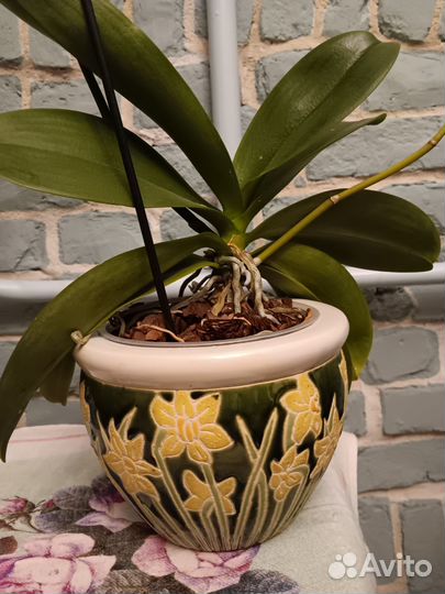 Декоративный горшок для цветов