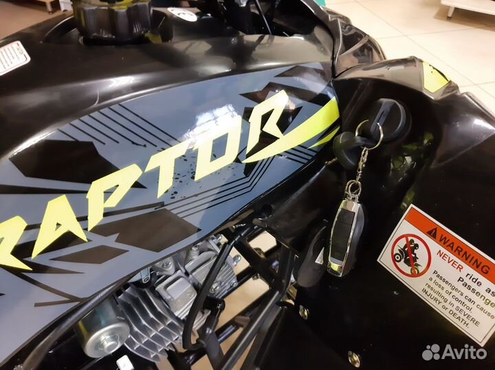 Квадроцикл Motoland 125 raptor A