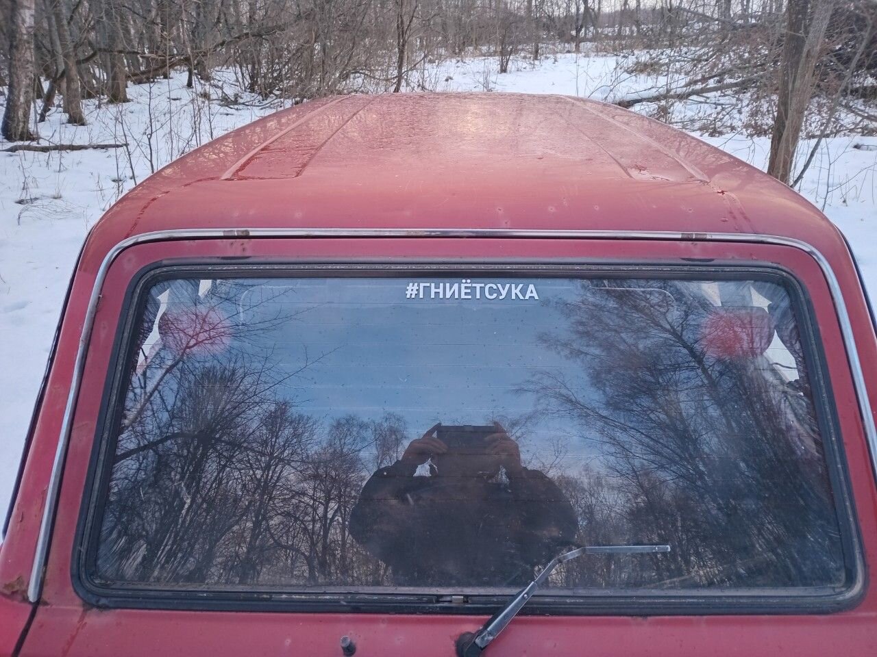 ВАЗ (LADA) 2104: фото владельца