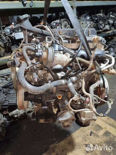 Двигатель dofa Ford Transit 3 2004 2.4 tdсi Дизель