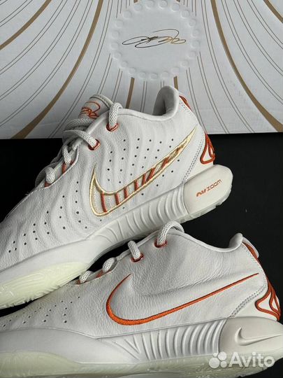 Кроссовки Nike Lebron XXI Akoya 21 38-47 EUR