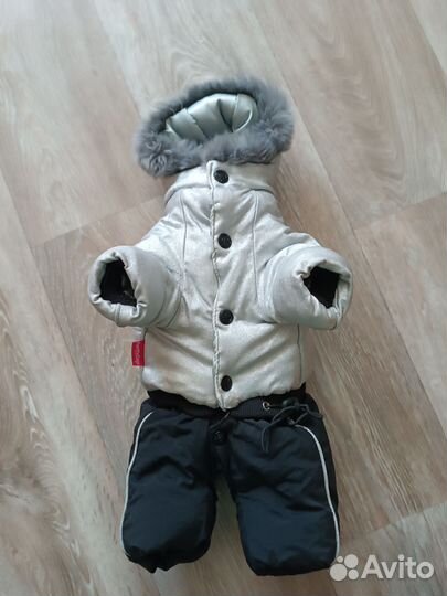 Комбинезон на маленькую собаку