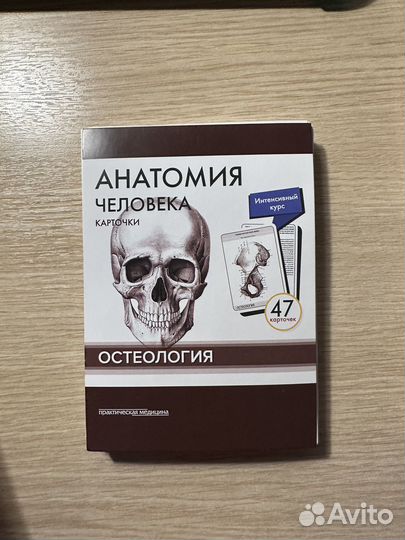 Карточки сапина остеология. Карточки по анатомии (сапин)#анатомия. Карточки остеология сапин. Карточки по анатомии (сапин)#анатомия. Карточки по анатомии (сапин)#анатомия.