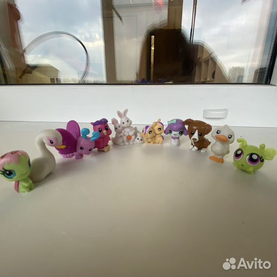Littlest pet shop