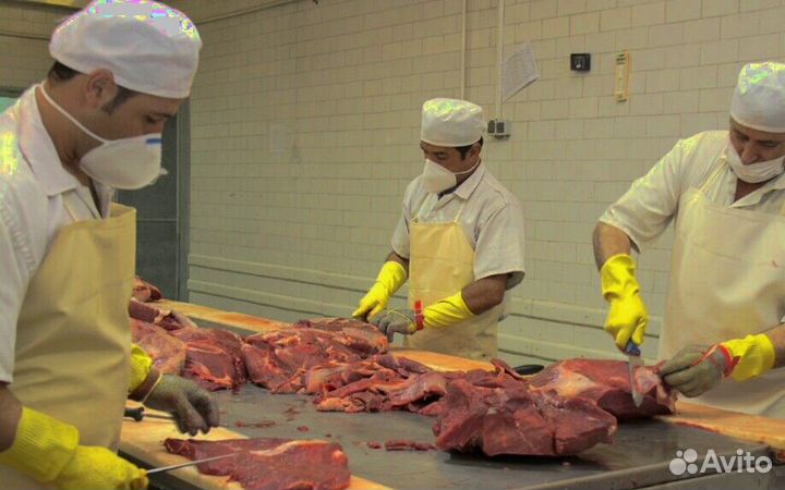 Работа разнорабочим на производстве(Вахта от 15 см