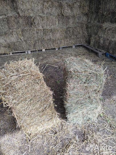 Сено в брикетах. Солома в брикетах