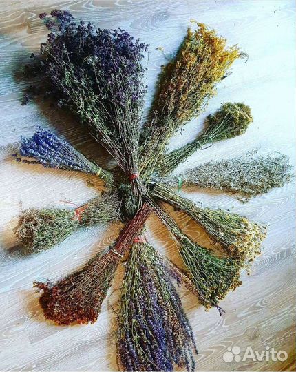 Травы для бани