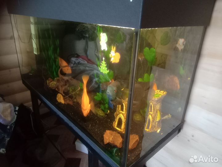Аквариум