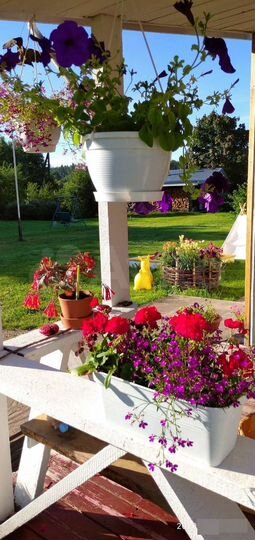 Дача 30 м² на участке 15 сот.