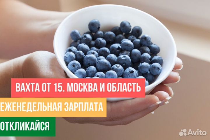 Фасовщик/ца Голубики Вахта Москва+проживание