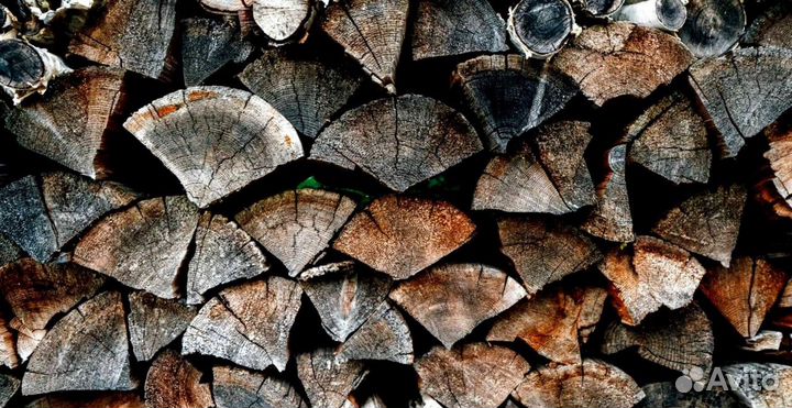 Лиственные дрова