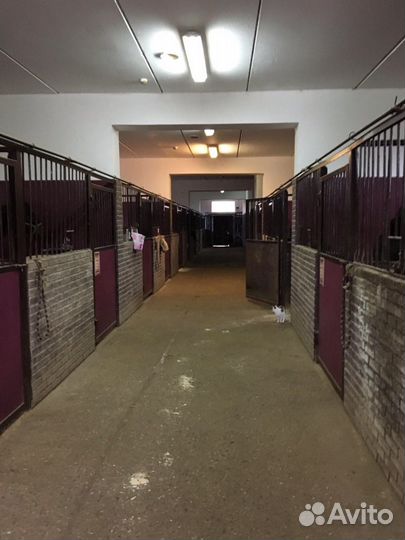 Конный клуб