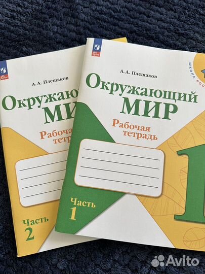 Рабочие тетради 1 класс
