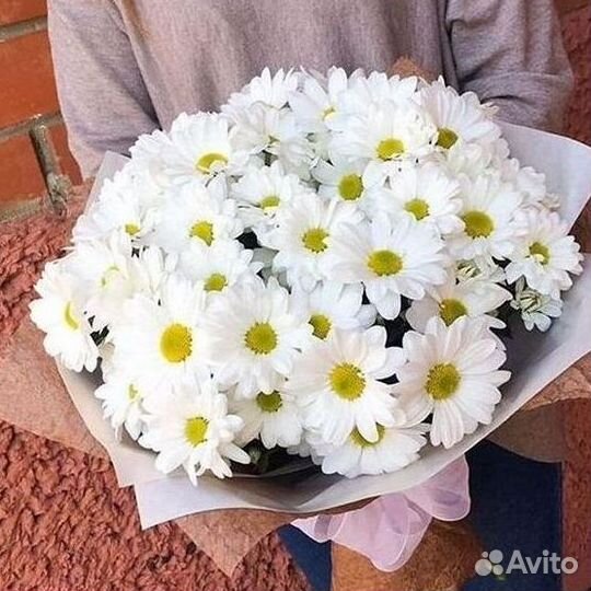 Хризантема. Букеты Цветы доставка