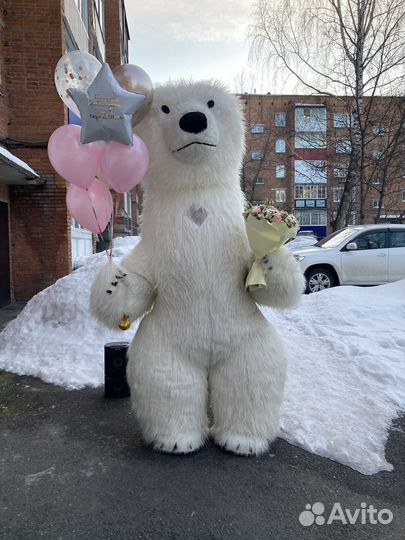 Белый мишка и панда /экспресс поздравление